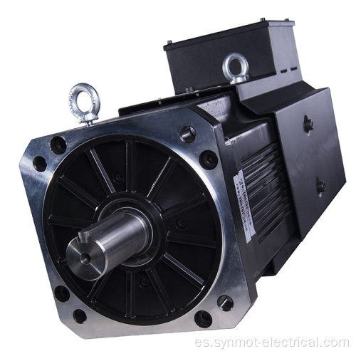 Synmot 22kw 96n.m 1500rpm 800kw Mini servomotor